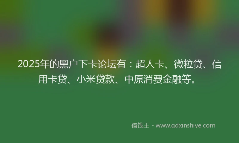 2025年的黑户下卡论坛有：超人卡、微粒贷、信用卡贷、小米贷款、中原消费金融等。