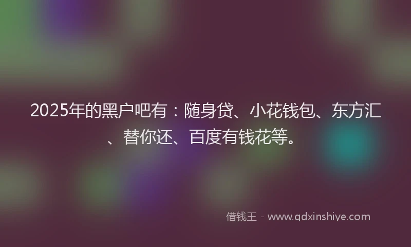 2025年的黑户吧有：随身贷、小花钱包、东方汇、替你还、百度有钱花等。