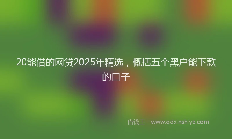 20能借的网贷2025年精选，概括五个黑户能下款的口子
