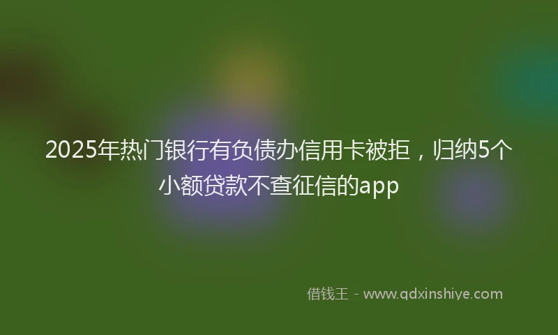 2025年热门银行有负债办信用卡被拒，归纳5个小额贷款不查征信的app