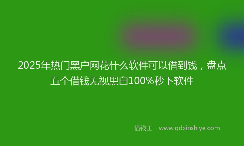 2025年热门黑户网花什么软件可以借到钱，盘点五个借钱无视黑白100%秒下软件