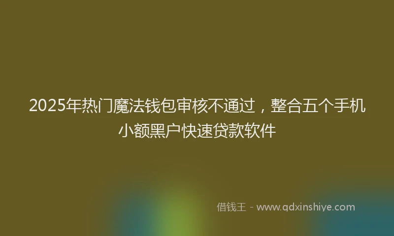 2025年热门魔法钱包审核不通过，整合五个手机小额黑户快速贷款软件