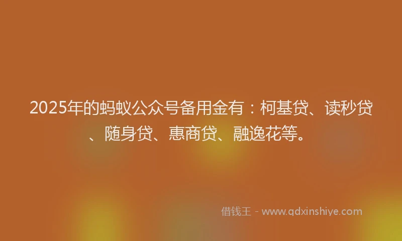 2025年的蚂蚁公众号备用金有：柯基贷、读秒贷、随身贷、惠商贷、融逸花等。