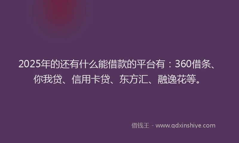2025年的还有什么能借款的平台有：360借条、你我贷、信用卡贷、东方汇、融逸花等。