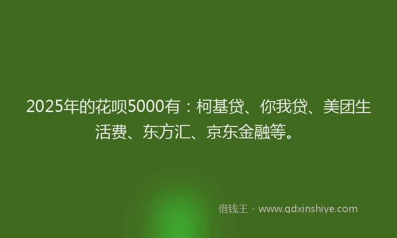 2025年的花呗5000有：柯基贷、你我贷、美团生活费、东方汇、京东金融等。