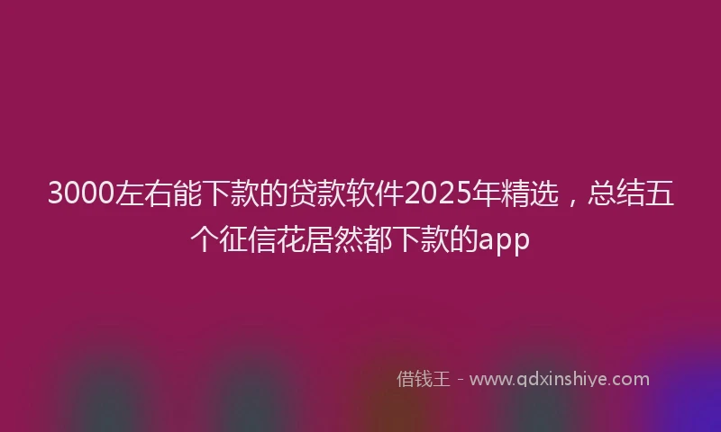 3000左右能下款的贷款软件2025年精选，总结五个征信花居然都下款的app