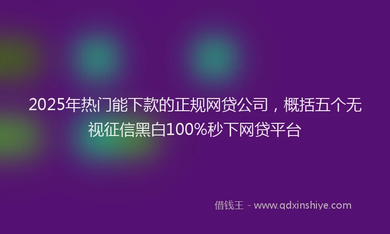 2025年热门能下款的正规网贷公司，概括五个无视征信黑白100%秒下网贷平台