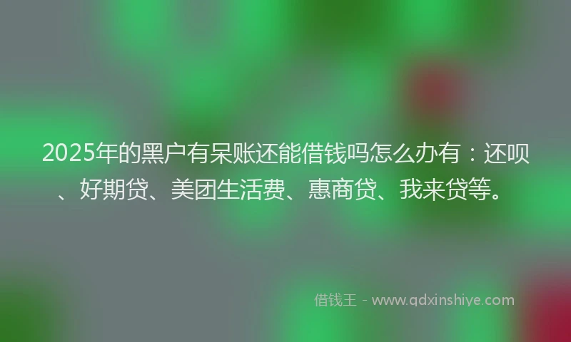 2025年的黑户有呆账还能借钱吗怎么办有：还呗、好期贷、美团生活费、惠商贷、我来贷等。