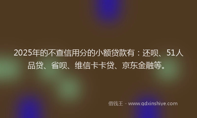 2025年的不查信用分的小额贷款有：还呗、51人品贷、省呗、维信卡卡贷、京东金融等。