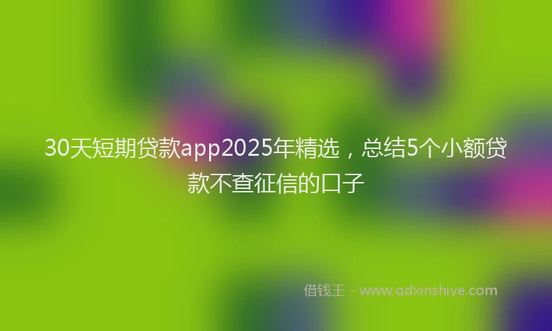 30天短期贷款app2025年精选，总结5个小额贷款不查征信的口子