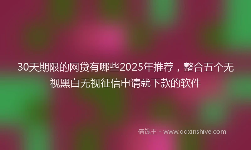 30天期限的网贷有哪些2025年推荐，整合五个无视黑白无视征信申请就下款的软件