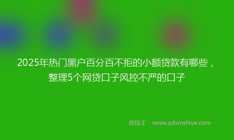 2025年热门黑户百分百不拒的小额贷款有哪些，整理5个网贷口子风控不严的口子