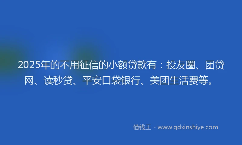 2025年的不用征信的小额贷款有：投友圈、团贷网、读秒贷、平安口袋银行、美团生活费等。