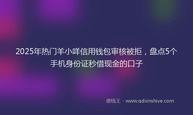 2025年热门羊小咩信用钱包审核被拒，盘点5个手机身份证秒借现金的口子