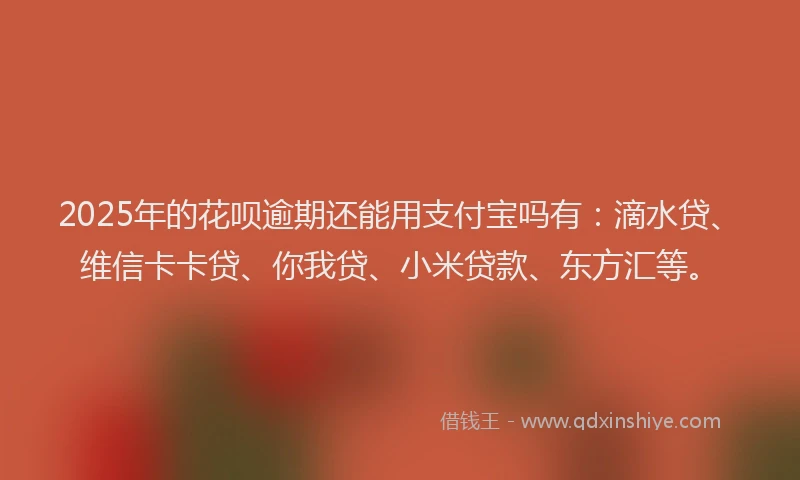 2025年的花呗逾期还能用支付宝吗有：滴水贷、维信卡卡贷、你我贷、小米贷款、东方汇等。