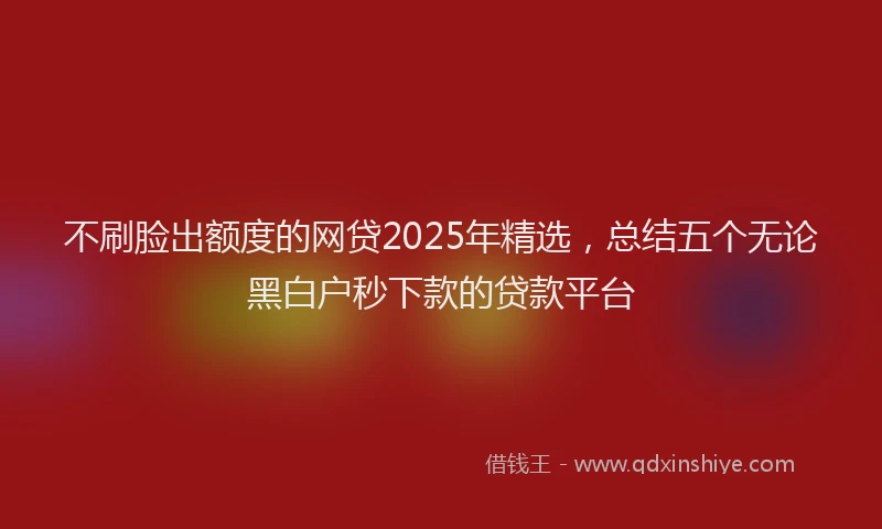 不刷脸出额度的网贷2025年精选，总结五个无论黑白户秒下款的贷款平台