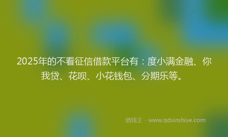 2025年的不看征信借款平台有：度小满金融、你我贷、花呗、小花钱包、分期乐等。