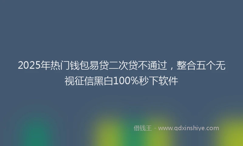 2025年热门钱包易贷二次贷不通过，整合五个无视征信黑白100%秒下软件