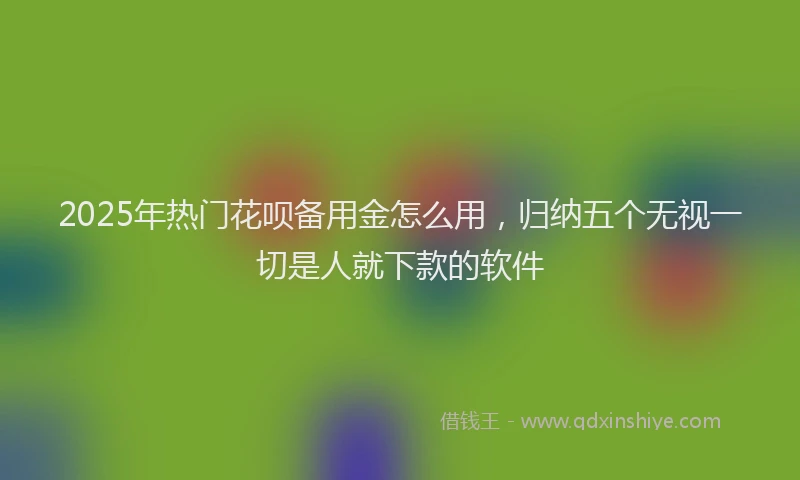 2025年热门花呗备用金怎么用，归纳五个无视一切是人就下款的软件