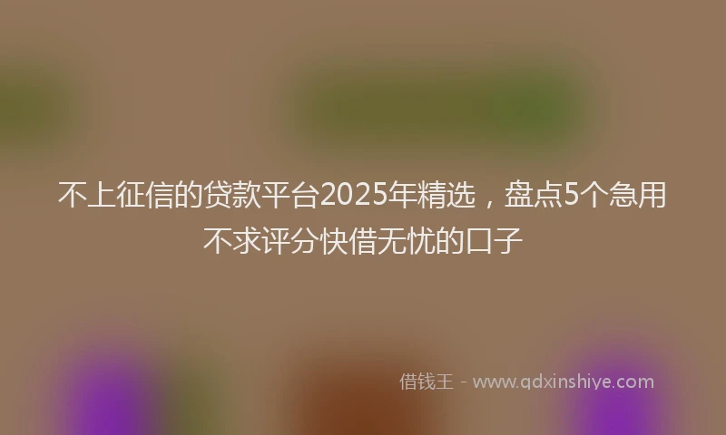 不上征信的贷款平台2025年精选，盘点5个急用不求评分快借无忧的口子