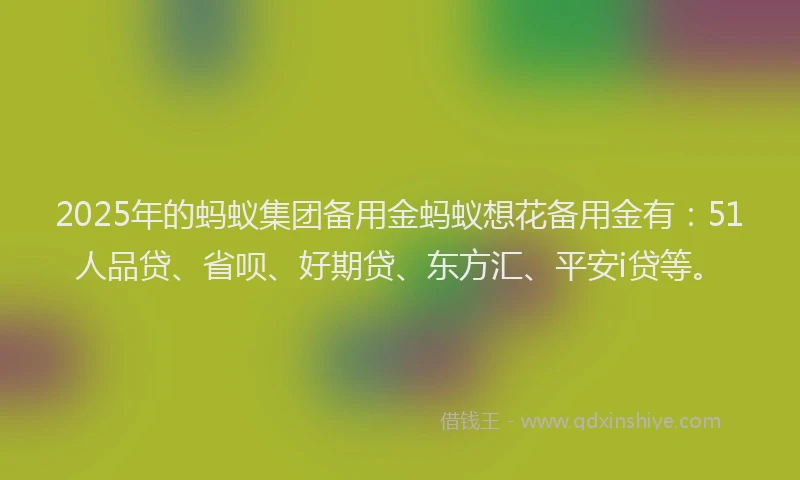 2025年的蚂蚁集团备用金蚂蚁想花备用金有：51人品贷、省呗、好期贷、东方汇、平安i贷等。