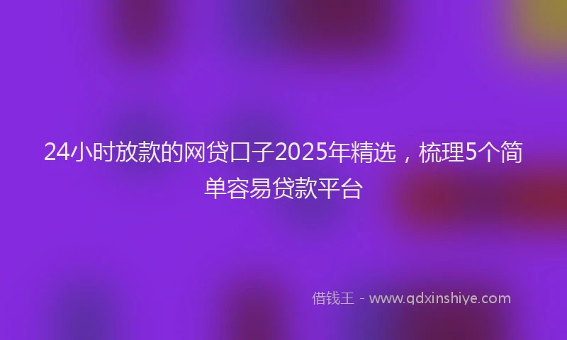 24小时放款的网贷口子2025年精选，梳理5个简单容易贷款平台