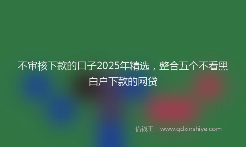不审核下款的口子2025年精选，整合五个不看黑白户下款的网贷