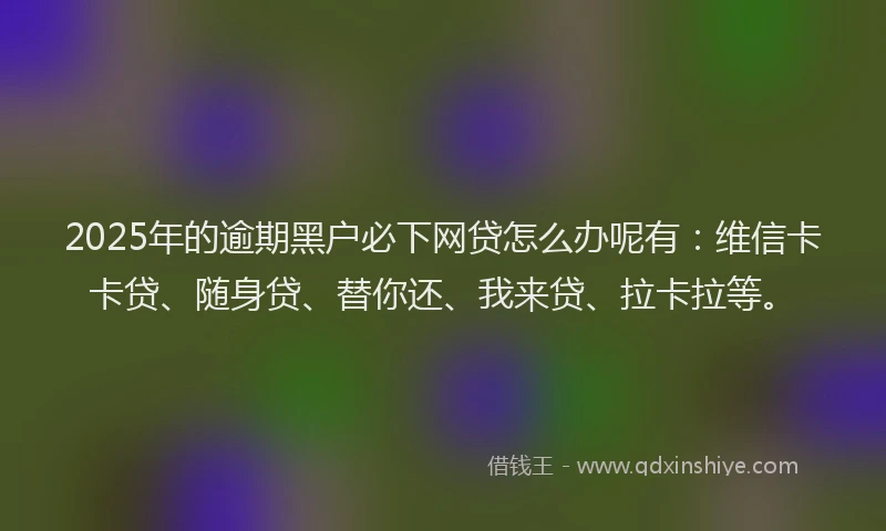 2025年的逾期黑户必下网贷怎么办呢有：维信卡卡贷、随身贷、替你还、我来贷、拉卡拉等。
