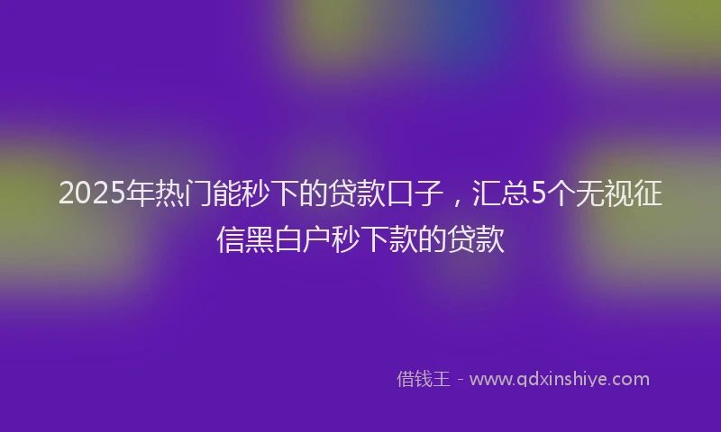 2025年热门能秒下的贷款口子，汇总5个无视征信黑白户秒下款的贷款
