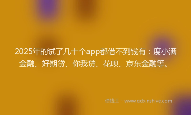 2025年的试了几十个app都借不到钱有：度小满金融、好期贷、你我贷、花呗、京东金融等。