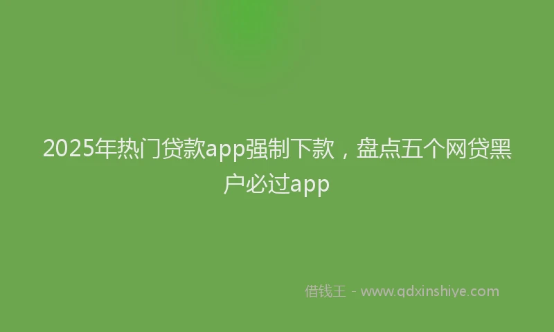 2025年热门贷款app强制下款，盘点五个网贷黑户必过app