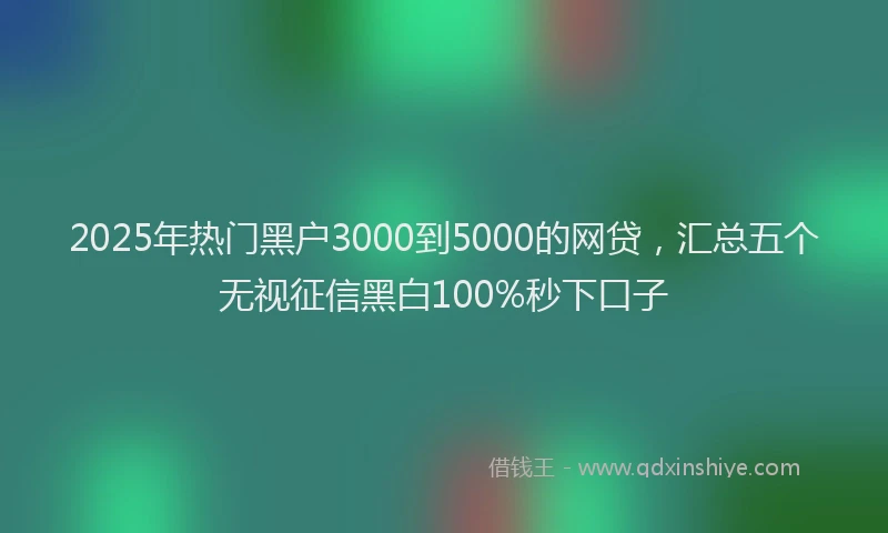 2025年热门黑户3000到5000的网贷，汇总五个无视征信黑白100%秒下口子
