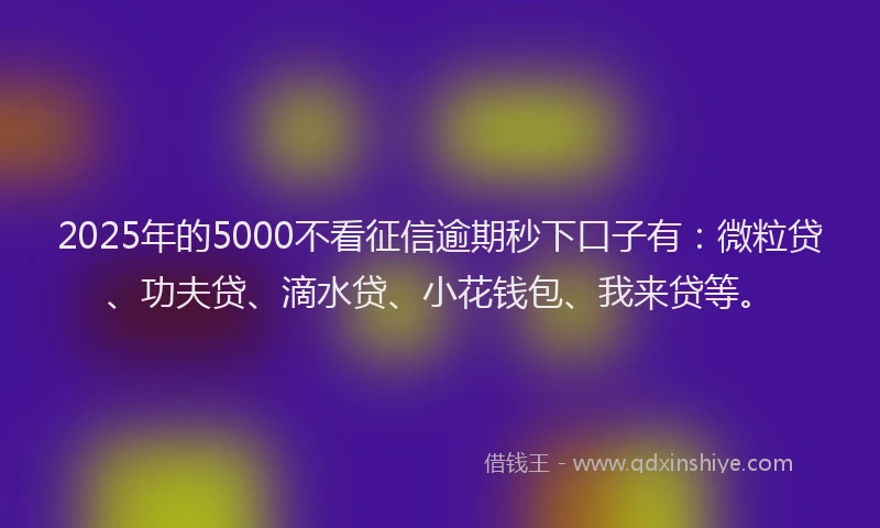2025年的5000不看征信逾期秒下口子有：微粒贷、功夫贷、滴水贷、小花钱包、我来贷等。
