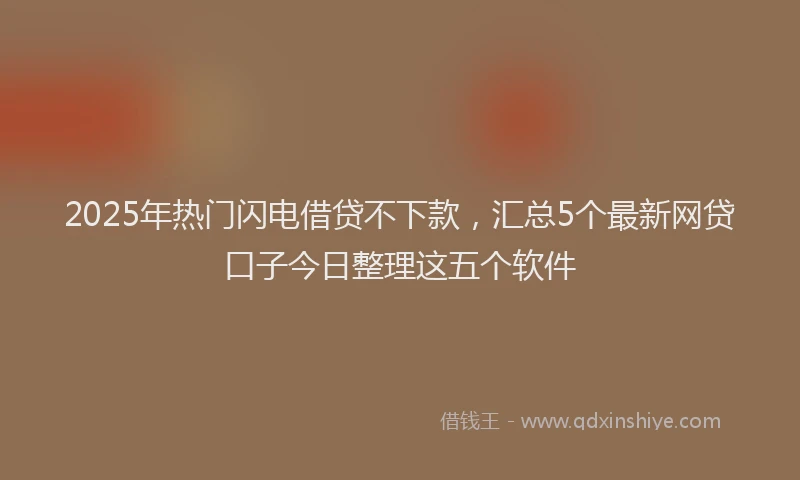 2025年热门闪电借贷不下款，汇总5个最新网贷口子今日整理这五个软件