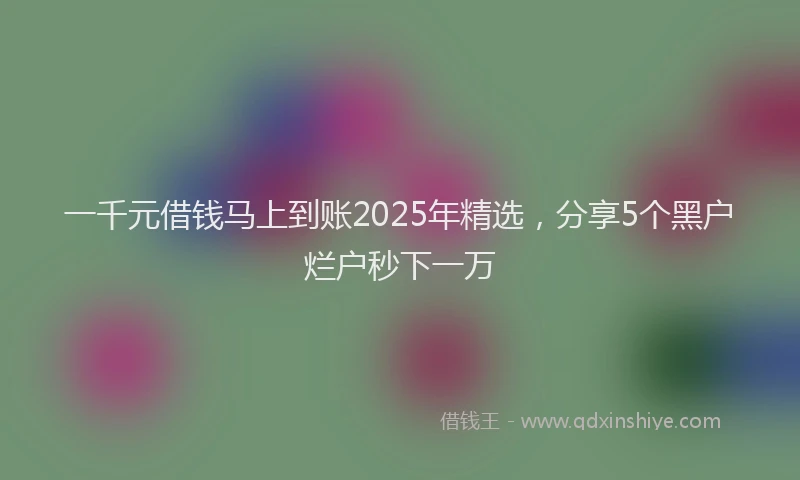 一千元借钱马上到账2025年精选，分享5个黑户烂户秒下一万