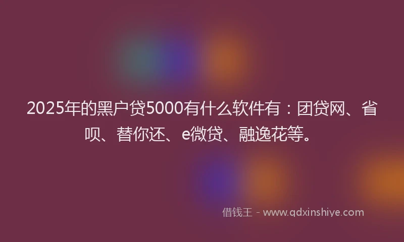 2025年的黑户贷5000有什么软件有：团贷网、省呗、替你还、e微贷、融逸花等。