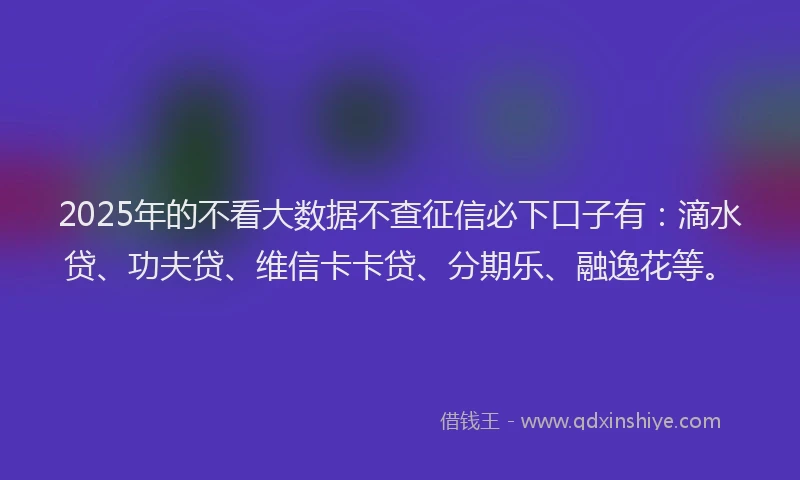 2025年的不看大数据不查征信必下口子有：滴水贷、功夫贷、维信卡卡贷、分期乐、融逸花等。