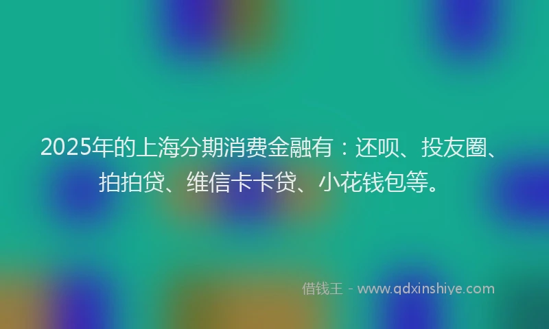 2025年的上海分期消费金融有：还呗、投友圈、拍拍贷、维信卡卡贷、小花钱包等。