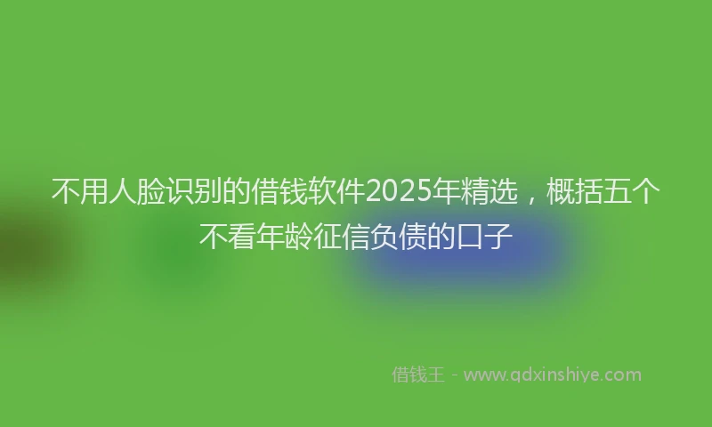 不用人脸识别的借钱软件2025年精选，概括五个不看年龄征信负债的口子