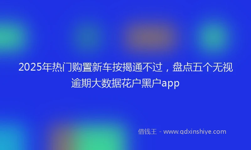 2025年热门购置新车按揭通不过，盘点五个无视逾期大数据花户黑户app