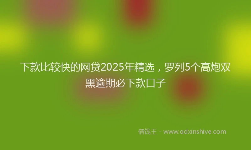 下款比较快的网贷2025年精选，罗列5个高炮双黑逾期必下款口子