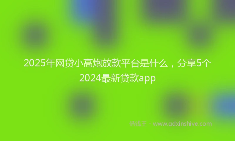 2025年网贷小高炮放款平台是什么，分享5个2024最新贷款app