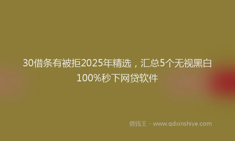 30借条有被拒2025年精选，汇总5个无视黑白100%秒下网贷软件