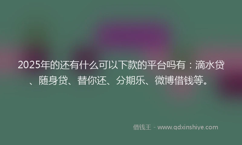 2025年的还有什么可以下款的平台吗有：滴水贷、随身贷、替你还、分期乐、微博借钱等。