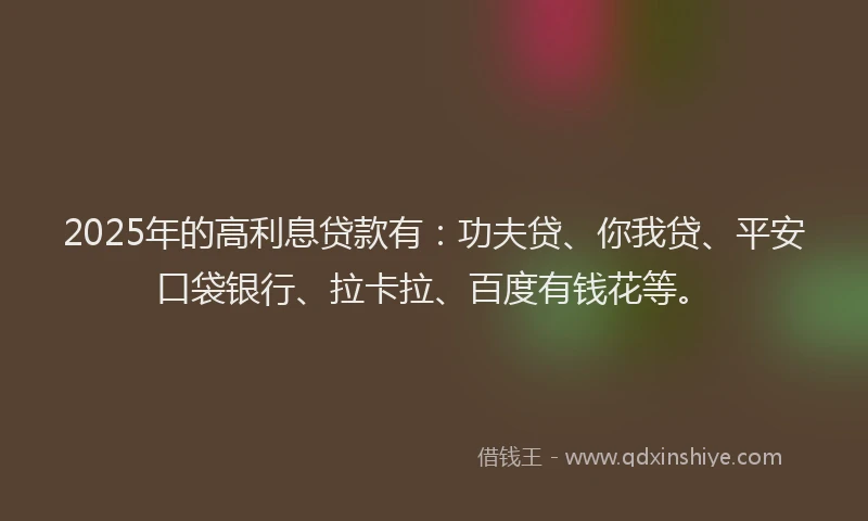 2025年的高利息贷款有：功夫贷、你我贷、平安口袋银行、拉卡拉、百度有钱花等。