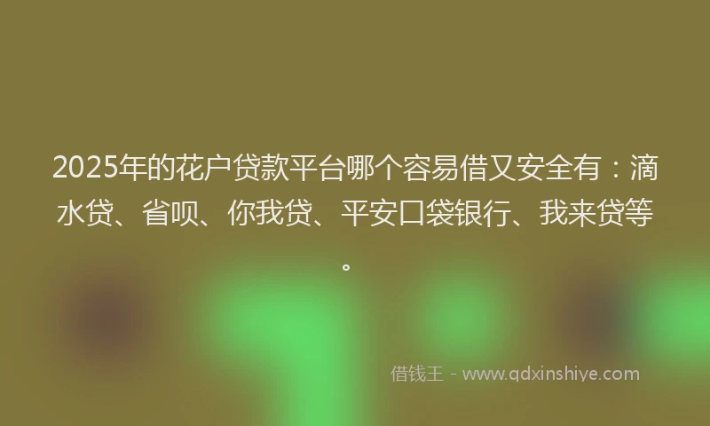 2025年的花户贷款平台哪个容易借又安全有：滴水贷、省呗、你我贷、平安口袋银行、我来贷等。