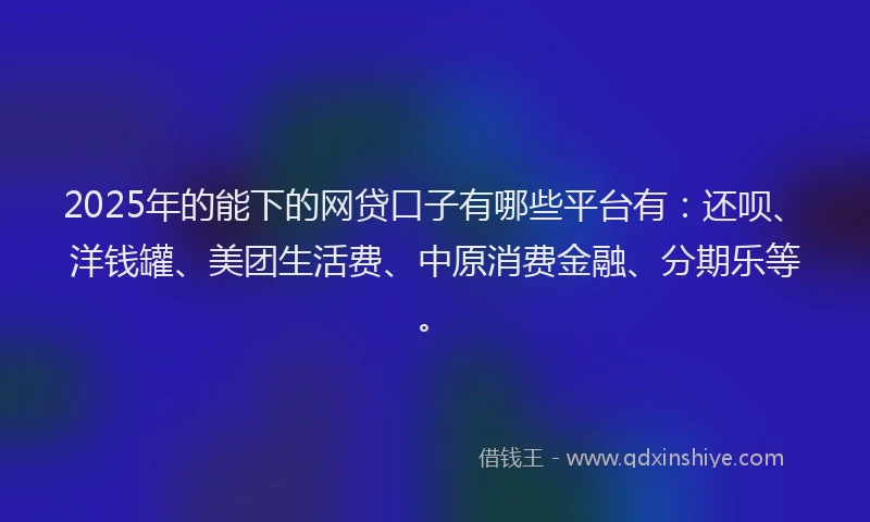 2025年的能下的网贷口子有哪些平台有：还呗、洋钱罐、美团生活费、中原消费金融、分期乐等。