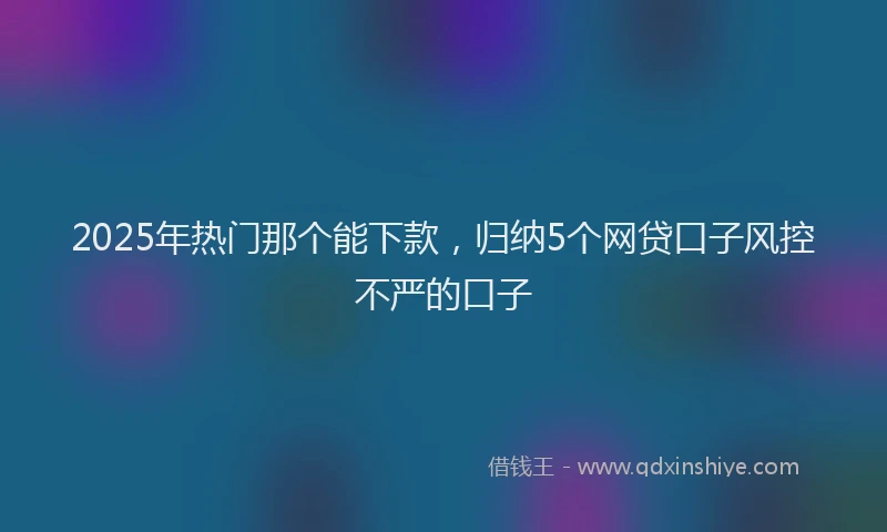 2025年热门那个能下款，归纳5个网贷口子风控不严的口子