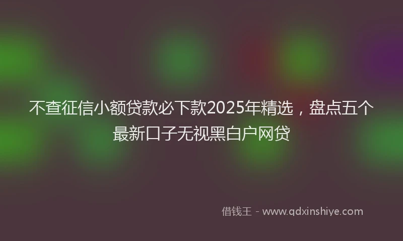 不查征信小额贷款必下款2025年精选，盘点五个最新口子无视黑白户网贷