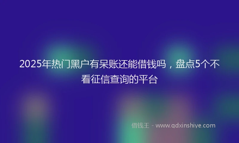 2025年热门黑户有呆账还能借钱吗，盘点5个不看征信查询的平台